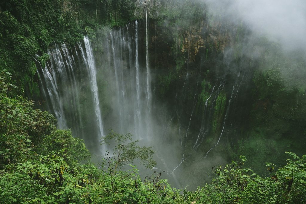 agto-nugroho-_i1juAwzYX0-unsplash