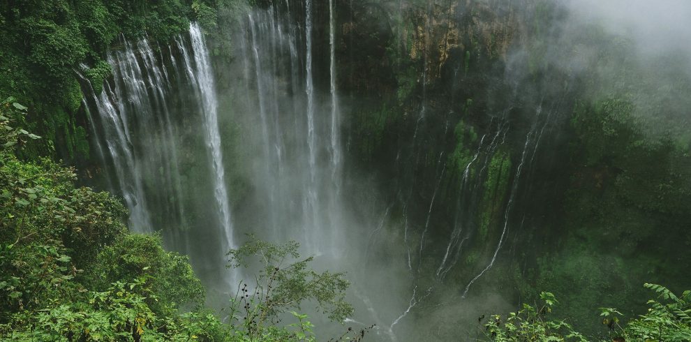 agto-nugroho-_i1juAwzYX0-unsplash