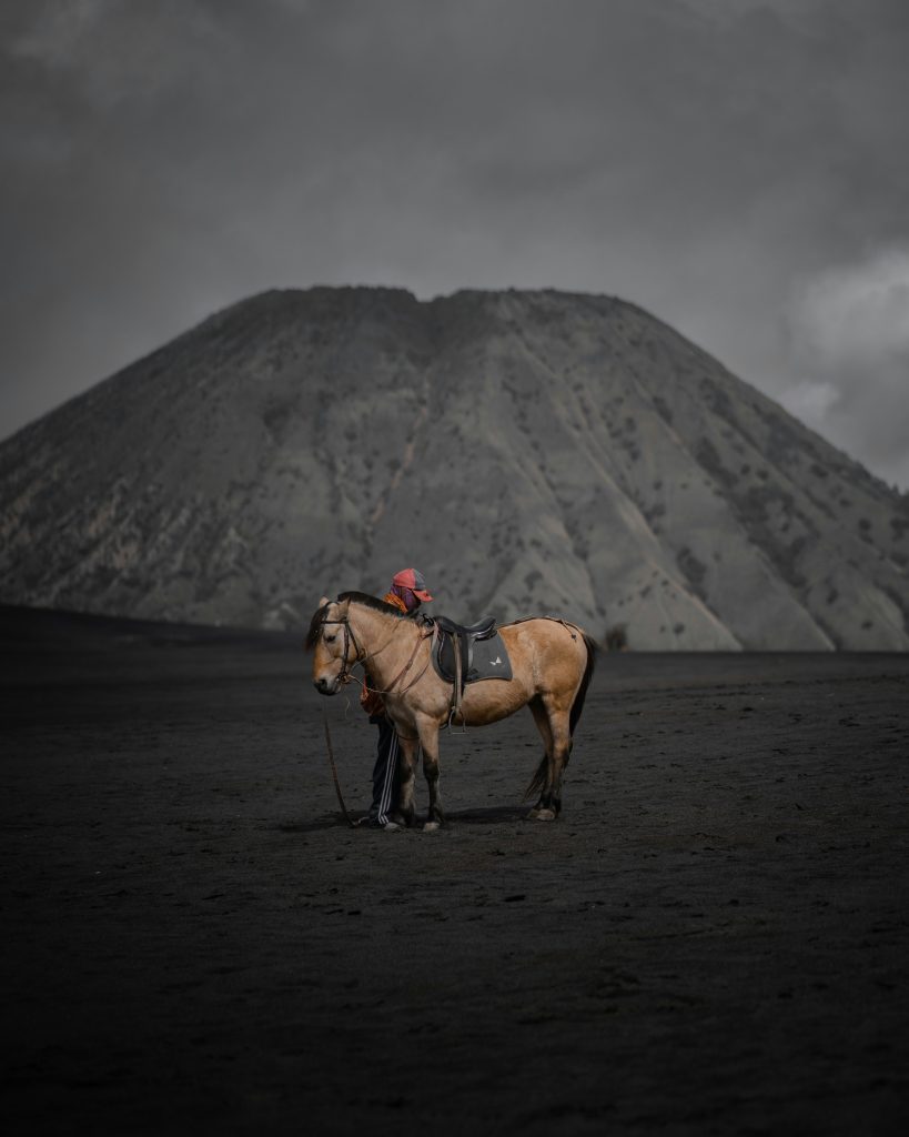 azkiya-alfaini-zahro-aA_-vaC-tB8-unsplash